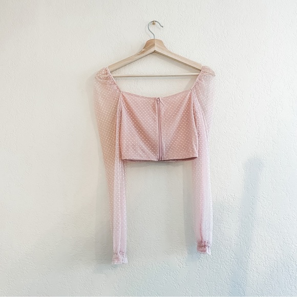Windsor mauve Simple And Sweet Mesh Polka Dot Crop Top - Picture 2 of 3
